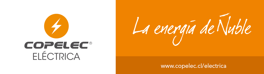 Resultado de imagen para copelec