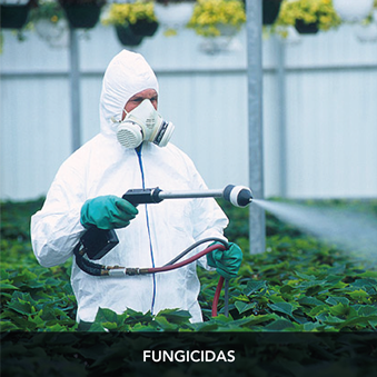 fungicidas
