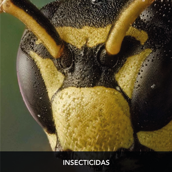 insecticidas