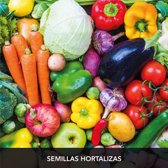 semillas-hortalizas