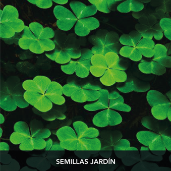 semillas-jardin