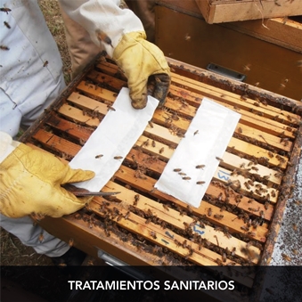 tratamientos-sanitarios