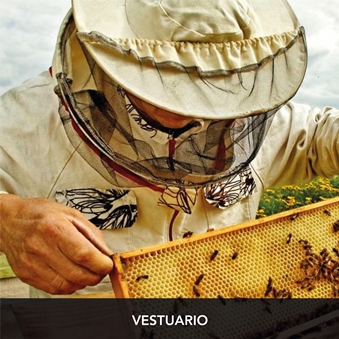 vestuario