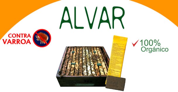 alvar