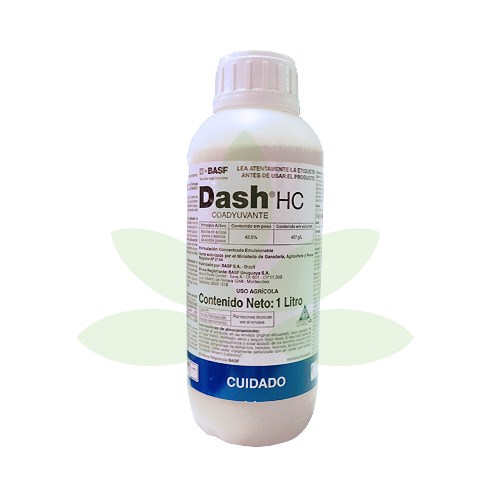 dasch-coadyuvante