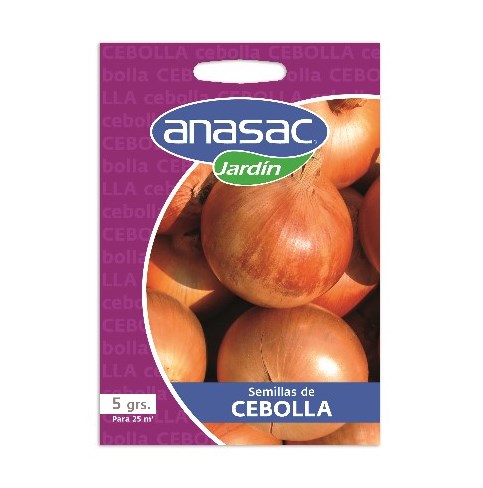 semilla-cebolla