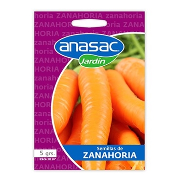 semilla-zanahoria9