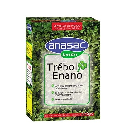 trebol-enano